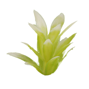 Flores y plantas de modelo Jiz, <span class=keywords><strong>agave</strong></span>, materiales de simulación de 2.0 cm para mesas de arena, para interiores y exteriores. - Product Image 3