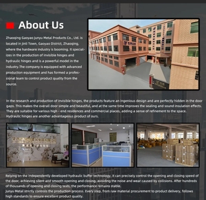 บานพับประตูปรับได้ อายุการใช้งานยาวนานกว่าหนึ่งแสนครั้ง ขนาด 198x30 มม. สีดำ บานพับไฮดรอลิกแบบซ่อน 3 มิติ บานพับโลหะผสมสังกะสี - Product Image 6