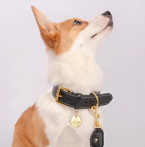 Gutes Material Edelstahl halsband Hunderasse ID Tag Hunde marke Silber Custom Hunde marke - Product Image 2