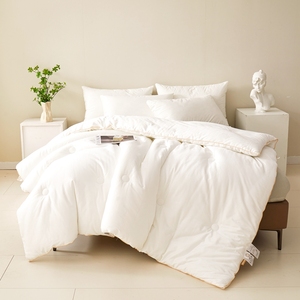 Modern King-Size Hotel <strong>Double</strong> <strong>Bed</strong> <strong>Duvet</strong> Insert Winter Quilt Soft Inner for Home Use Cotton - Product Image 4