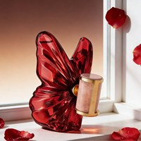 Parfum liquide best-seller transfrontalier Butterfly pour hommes et femmes, parfum longue durée, écologique, professionnel, floral fruité