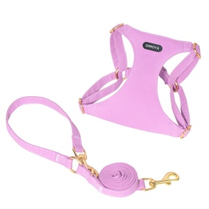 Custom Small Dog Puppy <strong>Cat</strong> <strong>Harness</strong> Luxury Breakaway Pet Leash Vest with Chest Strap Teddy Pet Supplies - Product Image 4