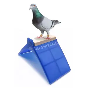 Thời Trang V Kim Loại Chủ Tabletop Bảng Suruikei 2 Pack Cát Không Gỉ Đậu Xe Đua Pigeon Phụ Kiện Bird Perch Nhựa