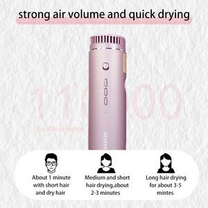 Sèche-cheveux ionique pliable mains libres haute vitesse 1200W pour spa et animaux domestiques – Appareil polyvalent pour la maison et le salon - Product Image 5