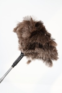 Plumeau en Plumes d'Autruche de Haute Qualité avec Manche Extensible - Plumeau à Long Manche de 170 cm pour le Nettoyage Domestique - Product Image 5