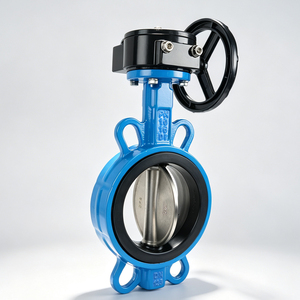 Válvula de gusano de alto rendimiento con asiento de goma de hierro fundido y vástago de acero inoxidable, accionada por engranaje helicoidal para sistemas de tuberías de HVAC y aguas residuales - Product Image 1