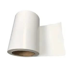 Tiancheng top labels suppliers jumbo roll sticker paper gloss paper sticker jumbo rolls self adhesive paper rolls