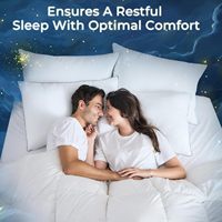 Oreillers rigides pour le cou, taille Queen, lot de 2, pour dormeurs sur le côté/dos/ventre, garnissage alternatif au duvet certifié Oeko-Tex, oreiller de qualité hôtelière