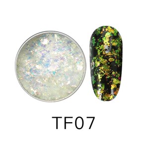 Feishi 12 colores 0.3g/jar Usado en esmalte de uñas Holográfico Transparente Camaleón flake pigmento - Product Image 4