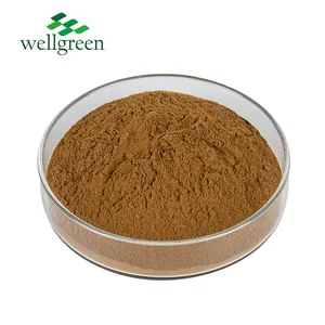 Wellgreen, лечебный дикий экстракт, натуральный экстракт семян спины, 10:1 порошок