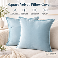 Housse de coussin en velours de couleur unie personnalisée OEM ODM pour la décoration du canapé