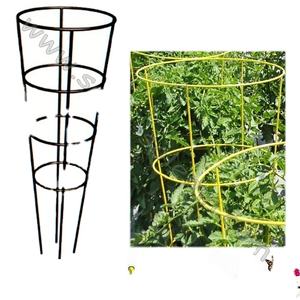 Cage en cône robuste pour tomate, Support <span class=keywords><strong>de</strong></span> haute qualité - Product Image 4