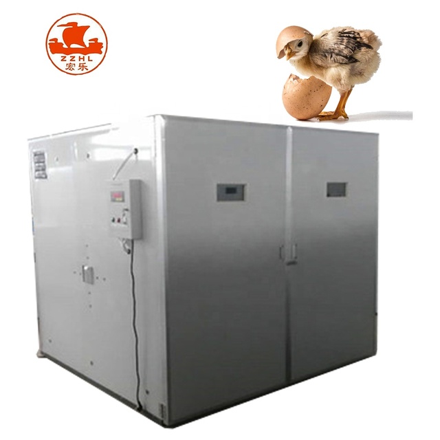 Full Automatic Chicken Egg Incubator in China for Sale 352 Eggs 220v Incubator