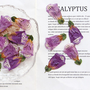 All'ingrosso fai da te materiale essiccato digitale purpurea fiori pressati per Nail Art gioielli in resina decorazione di candela da cartolina - Product Image 2