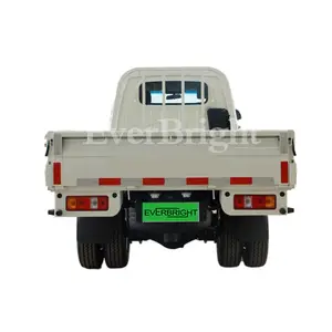 Yüksek verimli sıcak satış 2 kişilik kamyonet Mini elektrikli kamyon araba kullanılan ford ranger Pickup