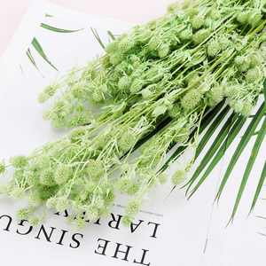 Fruit préservé de la Saint-Valentin et eryngo <span class=keywords><strong>Eryngium</strong></span> <span class=keywords><strong>foetidum</strong></span> de haute qualité les plus populaires pour la décoration intérieure - Product Image 6