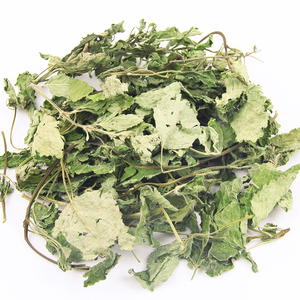 Premium Nouvelle récolte Feuilles de baume au citron <span class=keywords><strong>bio</strong></span> pour le thé, la relaxation et les remèdes naturels | Fournisseur <span class=keywords><strong>en</strong></span> <span class=keywords><strong>vrac</strong></span> - Product Image 3