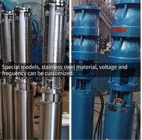 Promotion : Pompe centrifuge submersible multi-étages en acier inoxydable pour eau propre, 140 m de hauteur de refoulement, entièrement automatique
