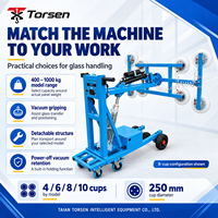 Chariot de levage de verre mobile Torsen, direct usine, robot de vitrage motorisé, machine de levage personnalisée OEM