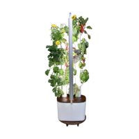 Système d'hydroponie WiFi avec lumière LED de culture, machine de plantation intelligente sans sol, arrosage automatique, jardinière d'intérieur pour la maison