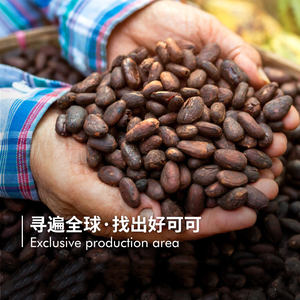 <span class=keywords><strong>Poudre</strong></span> de <span class=keywords><strong>cacao</strong></span> brut naturel pour la cuisson de desserts et de boissons - Product Image 2