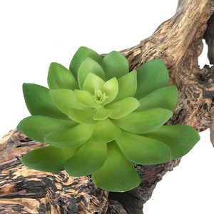 Outdoor Fake Succulents: Realistic & Weatherproof