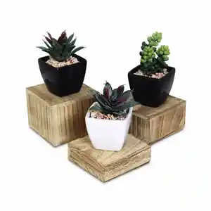 小さな鉢植えの植物のためのモダンなスタイルの木製ディスプレイライズ木製イヤリングディスプレイは販売のためのスタンドです