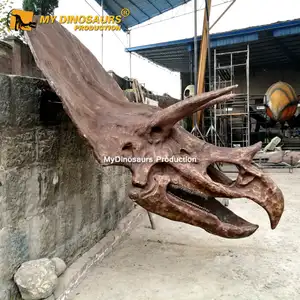 संग्रहालय डायनासोर जीवाश्म डायनासोर सिर कंकाल की Triceratops