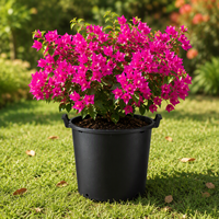 Pot de fleurs en PP pour jardin extérieur, grand format, moderne, minimaliste, léger, durable, de haute qualité, avec drainage, en promotion