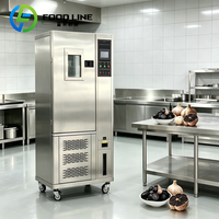 Machine à fermenter l'ail noir à faible consommation d'énergie, Fermenteur d'ail noir écoénergétique