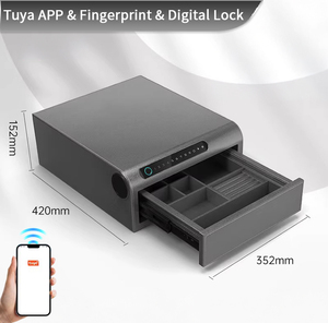 CEQSAFE Geoptimaliseerde Persoonlijke Sieradendoos Slimme Anti-Diefstal Stalen Kluis voor Thuisgebruik - Product Image 3