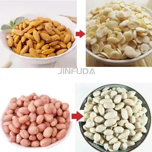 Machine d'éplucheur de noix de cajou de haricots à haute efficacité Machine d'épluchage de noix de macadamia de peau d'arachide de pin d'arachide - Product Image 2