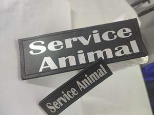 アンチロストロゴサイドラベルマジックテープタクティカルスタイルウォーキングペットアクセサリー付きのカスタマイズ可能なドッグハーネスレザーベスト - Product Image 5