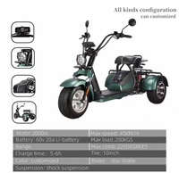 Triciclo Eléctrico de Golf CityCoco de 3 Ruedas con Almacén en EE. UU. 2026, 3000W, Llantas Anchas, Largo Alcance, Cuerpo Cerrado de Acero Tipo Inteligente para Adultos