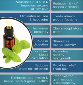Растительный экстракт, фабричная поставка, <span class=keywords><strong>100</strong></span>% натуральное органическое эфирное масло мяты перечной для ухода за кожей, уход за полостью рта - Product Image 5
