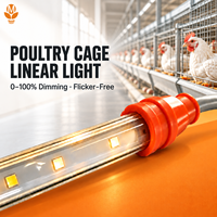 Lumière linéaire LED pour volailles 48V DC étanche rouge blanc bleu vert dimmable CRI>83 2W-18W 0.9m-2.4m pour élevage de poulets