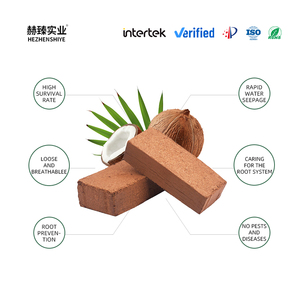 Ladrillo de Coco de 5 kg, Estabilizador de pH, Bajo en Sal, Ecológico, Sostenible, para Cama de Plantas, Sin Turba, Abono para Suelo - Product Image 2