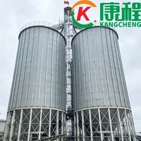 Silo de haute qualité avec élévateur, 500 tonnes, fond conique en acier, silos à maïs, blé, riz, paddy