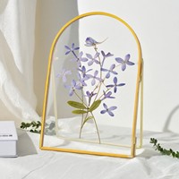 Cadre en verre cintrée avec bordure en métal doré pour l'affichage de fleurs pressées, spécimens végétaux, cadre photo, décoration intérieure