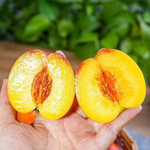 Chất Lượng Cao Xuất Khẩu Lớp Tươi Mật Đào Ngon Thịt Vàng Ngọt Ngào Và Ngon Ngọt Tốt Nhất Đào Tươi - Product Image 4