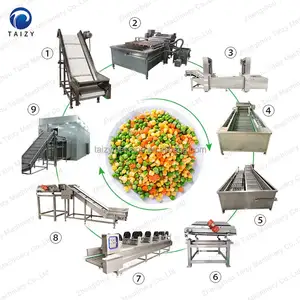 Frozen Vegetable Production Line Frozen Sweet Corn Strawberry Green Peas IQF Quick Freezing Machine