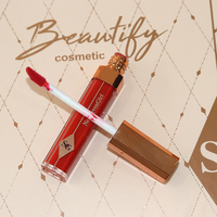 Ensemble de maquillage complet personnalisé de haute qualité avec étiquette privée, fond de teint imperméable, rouge à lèvres, fard à paupières, poudre, blush