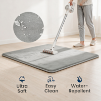 Tapis de salon en peluche épais de 3,3 cm, en velours corail moderne, fabriqué à la machine, antidérapant, imperméable, tapis de jeu pour bébé, tapis d'exercice pour enfants