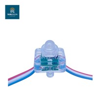 Vente en gros de lumières à pixels numériques RGBW SMD5050 WS2811 25 mm IP68 pour la décoration de bâtiments, 0,6 W, garantie de 5 ans