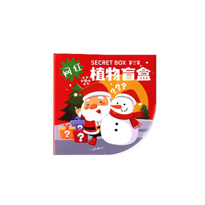 Coffret Cadeau de Plantes en Pot Miniatures pour Noël, Idéal pour Enfants et Cadeaux de Fêtes, en Papier avec Impression Numérique - Product Image 4