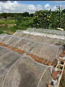 Nhà Kính nông nghiệp chống côn trùng màn hình lưới vườn cây ăn quả HDPE nhựa Poly Pest Repellent Nhà Nông nghiệp nông nghiệp nete - Product Image 5