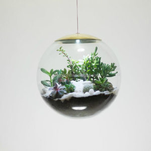 Terrario colgante de vidrio para plantas de interior, terrario led de vidrio para plantas de interior, botella de vidrio, Terrario de selva tropical - Product Image 3