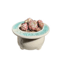 Pot à Succulentes en Céramique Minimaliste Glaçuré Respirant de Taille Moyenne – Adorable Ensemble de Pots de Fleurs Géométriques pour Bureau