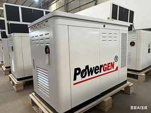 Powergen 15KW เครื่อ<span class=keywords><strong>ง</strong></span>กำเนิดไฟฟ้า LPG พร้อมพัดลม, ก๊าซธรรมชาติกันเสียงเงียบผลิตจากก๊าซธรรมชาติพร้อมพัดลม - Product Image 3