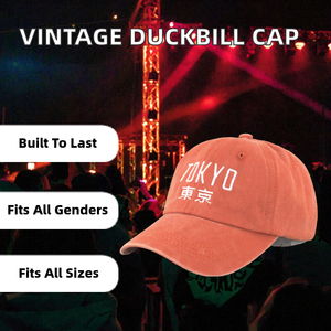 Vintage Eskitme Görünümlü Ördek Gagası Beyzbol Şapkası 6 Panel İşlemeli Yıkanmış Kanvas Kavisli Siperlik Ayarlanabilir Hip-Hop Çift Modası Günlük - Product Image 2